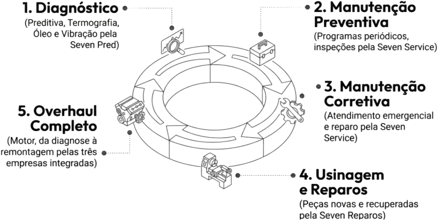 Diagrama do ecossistema Braseven